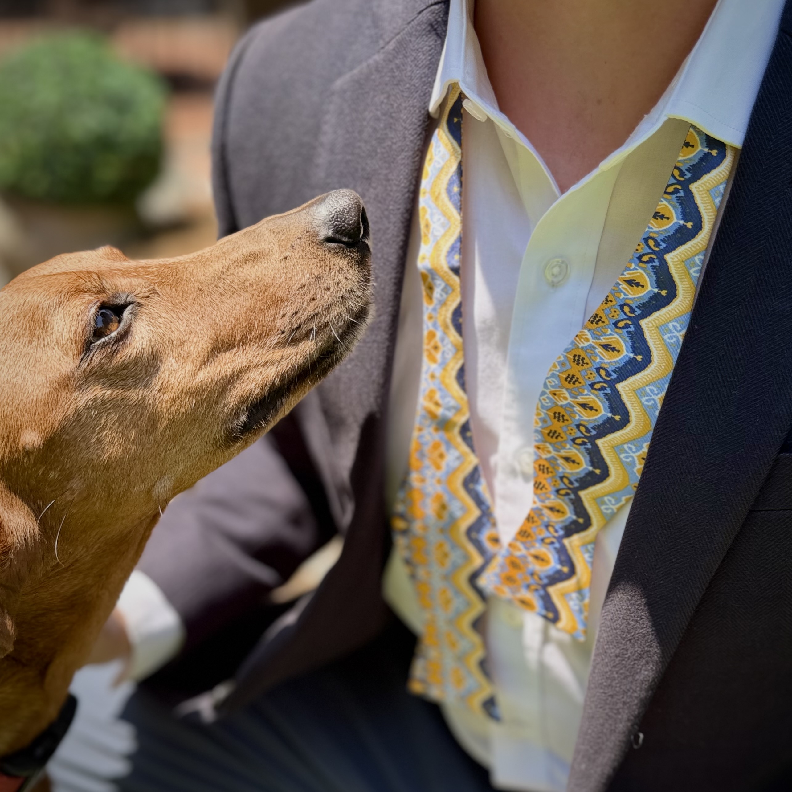 Yellow Ikat Bowtie